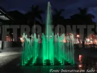 Fonte Interativa - Salto